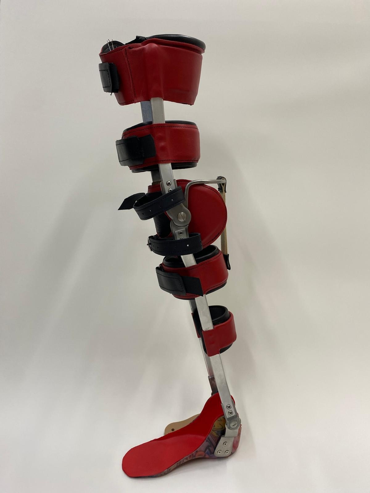 Bitutor femoral - Imagen 4